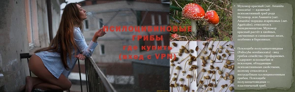 дживик Корсаков