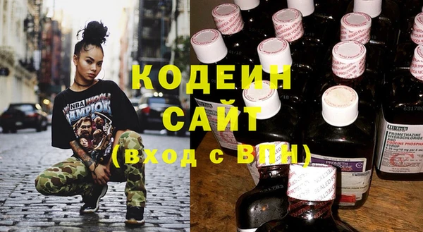гашик Краснослободск