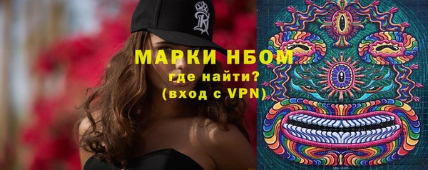 индика Красноперекопск