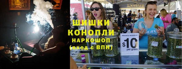 гашик Краснослободск