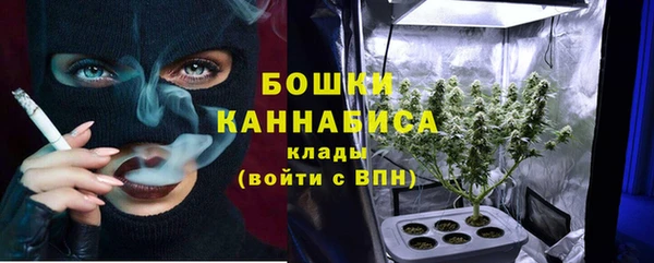 индика Красноперекопск