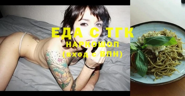 гашик Краснослободск