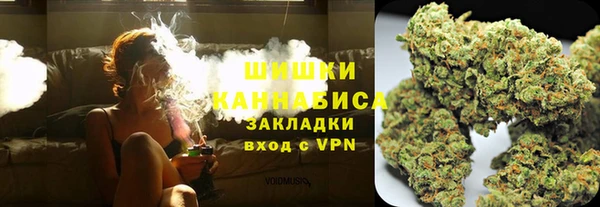 индика Красноперекопск