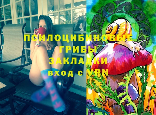 дживик Корсаков