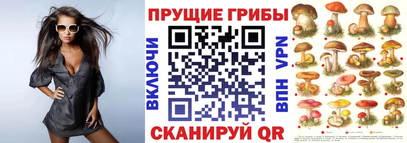 Псилоцибиновые грибы Psilocybe  Купить где  Беломорск 